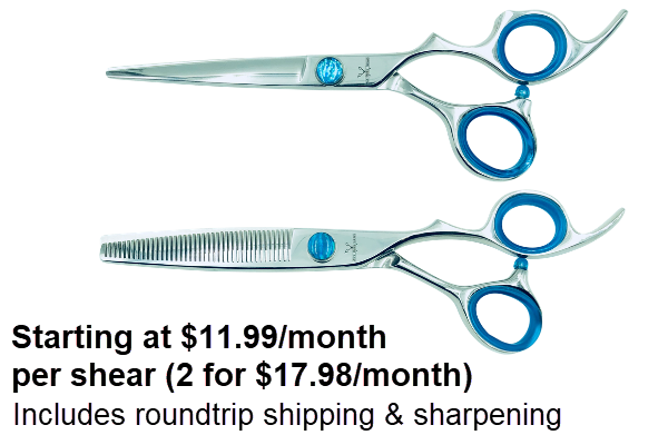 Premium Cutting & Blending Shears | 4 or 6 Month Subscription – Rock ...