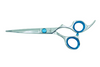 blue shears